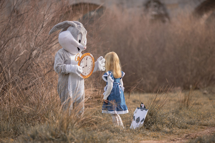 Аниматоры в костюмах любимых героев – успех детского праздника